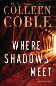Paperback Where Shadows Meet: A Romantic Suspense Novel Book