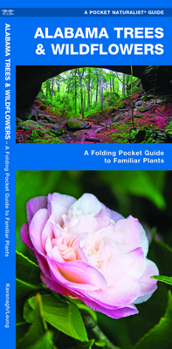 Paperback Alabama Trees & Wildflowers: A Folding Pocket Guide to Familiar Plants Book