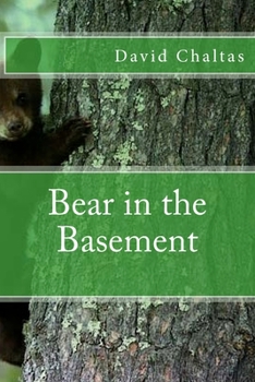 Paperback Bear in the Basement Book