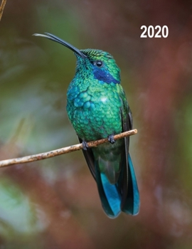 Low Vision 2020 Daily Planner : Large Print Daily Calendar for Visually Impaired with Bold Lines on White Paper