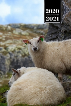 Sheep Lamm Shepherd Herder Farmer Week Planner Weekly Organizer Calendar 2020 / 2021 - Between Rocks: Cute Wildlife Animal Pet Bullet Journal Notebook Diary in 6" x 9" Inch Pocket Size