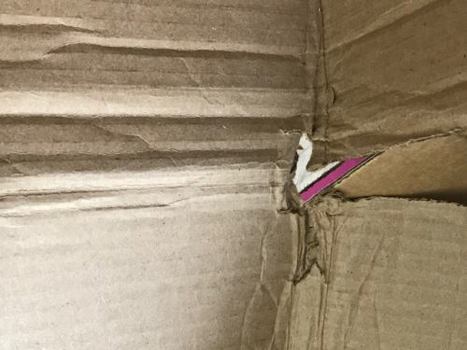 Paperback Fastest Man in the World: The Tony Volpentest Story Book