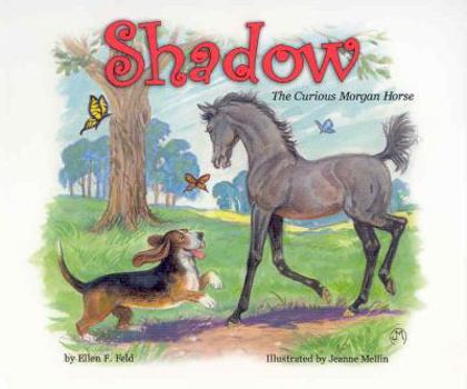 Hardcover Shadow: The Curious Morgan Horse Book