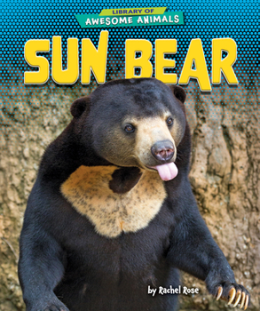 Library Binding Sun Bear Book