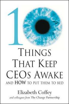 Hardcover 10 Things That Keep Ceos Awake: And How to Put Them to Bed Book