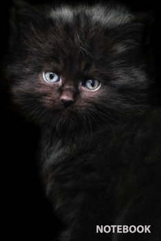 Notebook: Cat, Journal for Writing, College Ruled, Lined Notebook, Soft Cover, Matte, Size 6x 9 inches, 120 Pages