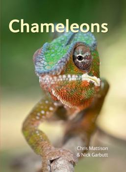 Hardcover Chameleons Book