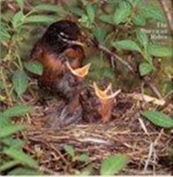 Hardcover The American Robin: A Backyard Institution Book