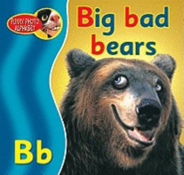 Paperback Big Bad Bears Book