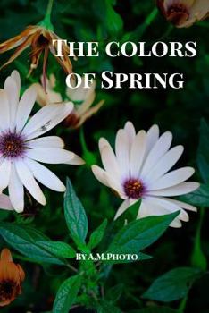 Paperback The Colors of Spring: made in Israel Book