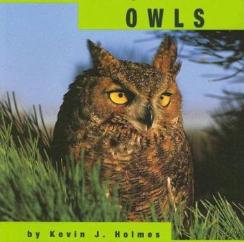 Paperback Owls (Animals) Book