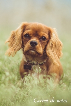 Paperback Carnet de notes: Cahier personnalis? - Lignes, Marge et Ent?te - 100 pages - Format A5 - Animaux - Chiens - Cavalier King Charles [French] Book