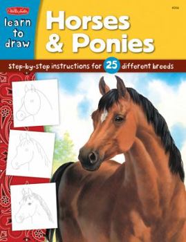 Paperback Horses & Ponies: Step-By-Step Instructions for 25 Different Breeds Book