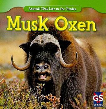 Musk Oxen - Book  of the Animals That Live in the Tundra