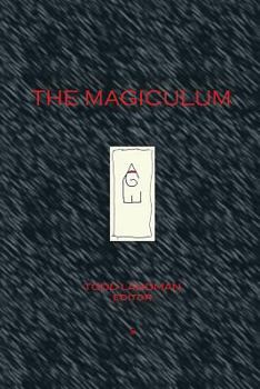 Paperback The Magiculum Book