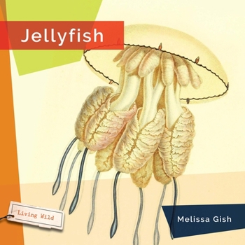 Paperback Jellyfish Book