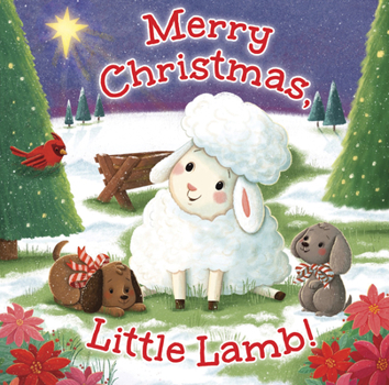 Board book Merry Christmas, Little Lamb! Book