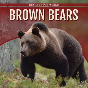 Paperback Brown Bears Book