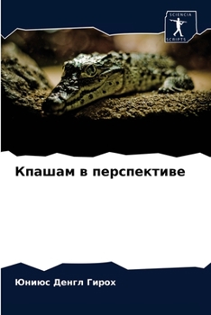 Paperback Кпашам в перспективе [Russian] Book