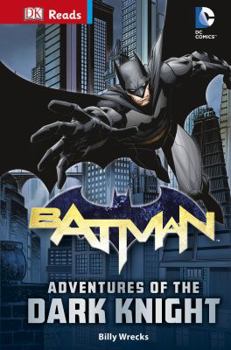 DK Adventures: DC Comics: Batman: Adventures of the Dark Knight