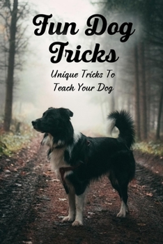 Paperback Fun Dog Tricks: Unique Tricks To Teach Your Dog: Tricks To Teach Your Dog Book