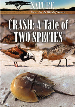 DVD Nature: Crash A Tale of Two Species Book