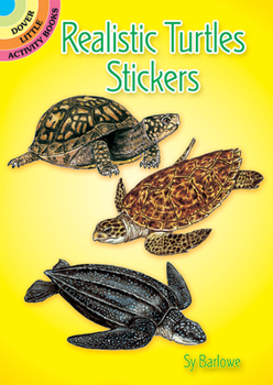 Paperback Realistic Turtles Stickers Book