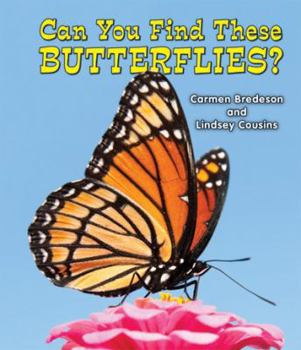 Paperback Can You Find These Butterflies? Book