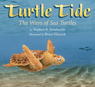 Hardcover Turtle Tide Book