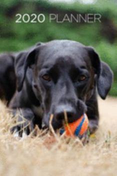2020 Planner: Increase productivity, improve time management, reach your goals: Black Labrador Retriever with toy: Modern artistic photography style