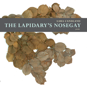 The Lapidary's Nosegay - Book  of the Mountain/West Poetry Series