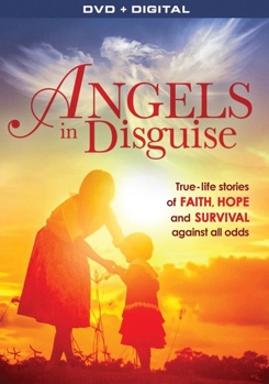 DVD Angels in Disguise Book