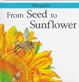 Library Binding From Seed to Sunflower Book