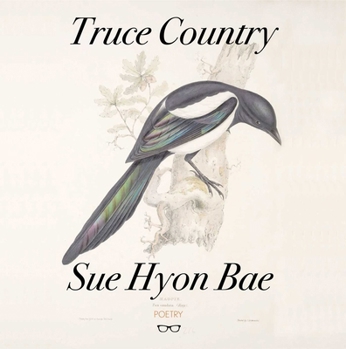 Paperback Truce Country Book