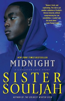 Midnight - Book #1 of the Midnight