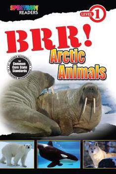Paperback Brr! Arctic Animals Book