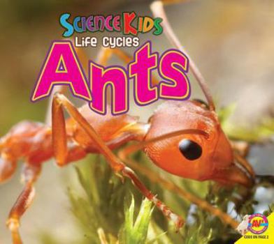 Paperback Ants Book