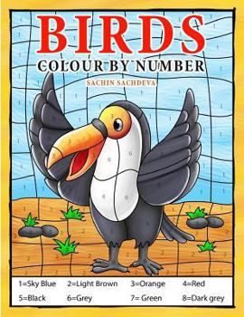 Paperback Birds: Colour by Number book for Kids and preschoolers Book