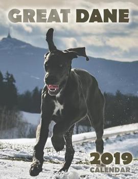 Paperback Great Dane 2019 Calendar Book