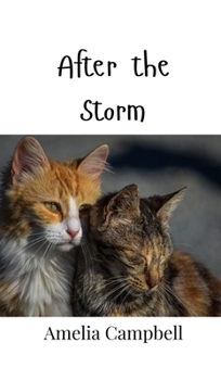 Hardcover After the Storm Book