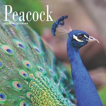 Peacock: 2021 Calendar (Fantastic Birds)