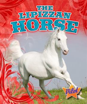 The Lipizzan Horse - Book  of the Horse Breed Roundup