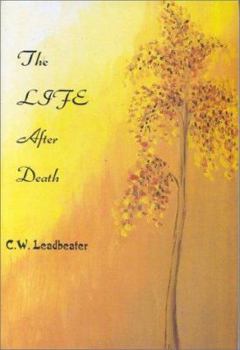 Hardcover The Life After Death Book