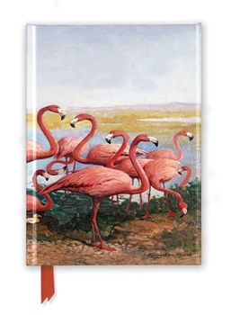 Hardcover Gerritt Vandersyde: Flamingoes (Foiled Journal) Book