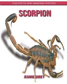 Scorpion: Fun Facts and Amazing Photos