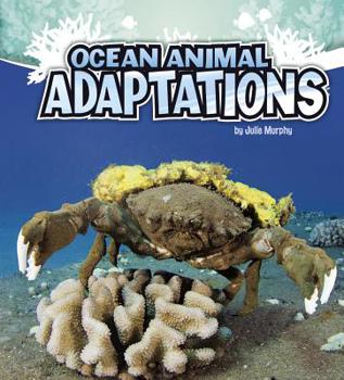 Ocean Animal Adaptations - Book  of the Amazing Animal Adaptations