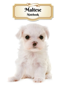 Paperback Maltese Notebook: Puppy - Composition Book 150 pages 8.5 x 11 in. - 5x5mm Graph Paper - Writing Notebook - Grid Paper - Soft Cover - Dra Book