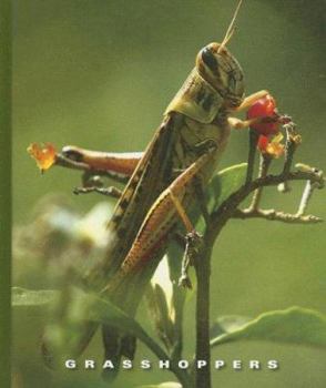 Library Binding Grasshoppers Book