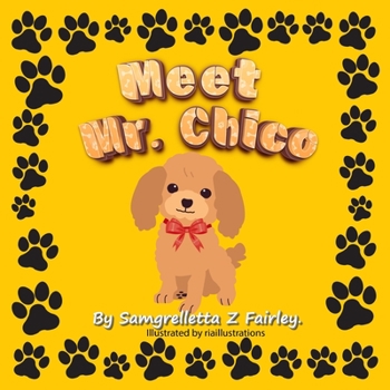 Paperback Meet Mr. Chico Book