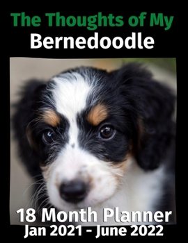 Paperback The Thoughts of My Bernedoodle: 18 Month Planner Jan 2021-June 2022 Book